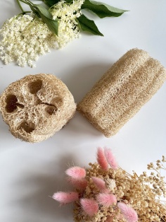 Luffa non blanchie