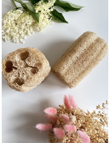 Luffa non blanchie