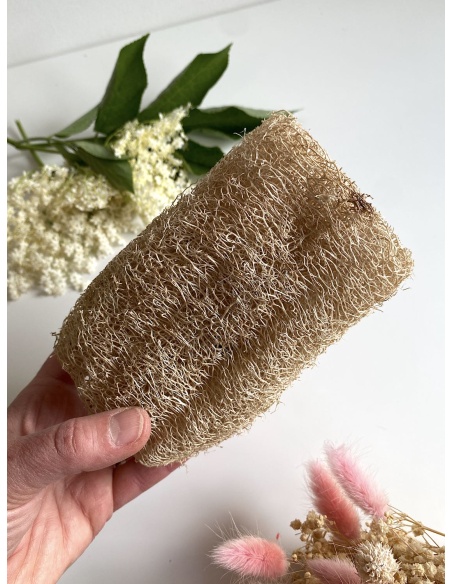 Luffa non blanchie