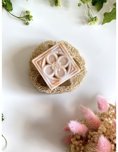 Porte savon en rondelle de luffa