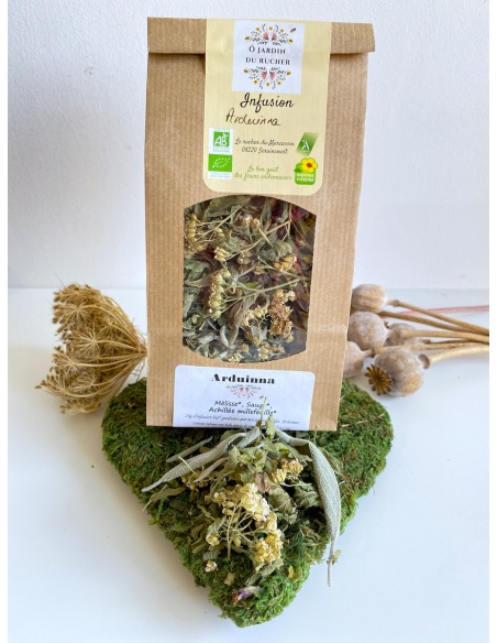 Infusion contre les douleurs menstruelles Infusion contre les douleurs menstruelles