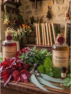 Savon liquide artisanal Vigne rouge et synergie d'huiles essentielles