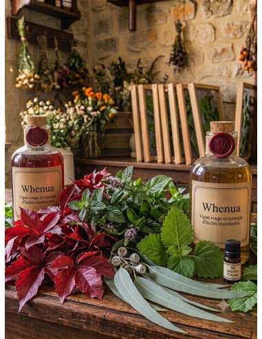 Savon liquide artisanal Vigne rouge et synergie d'huiles essentielles